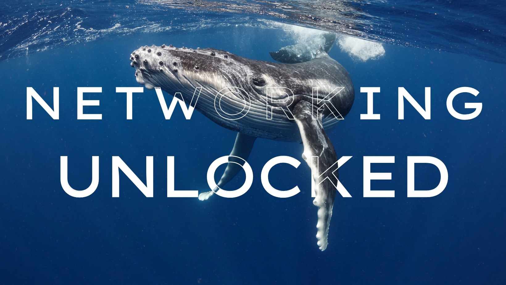 Networking Unlocked: Building a Successful Business through Connections