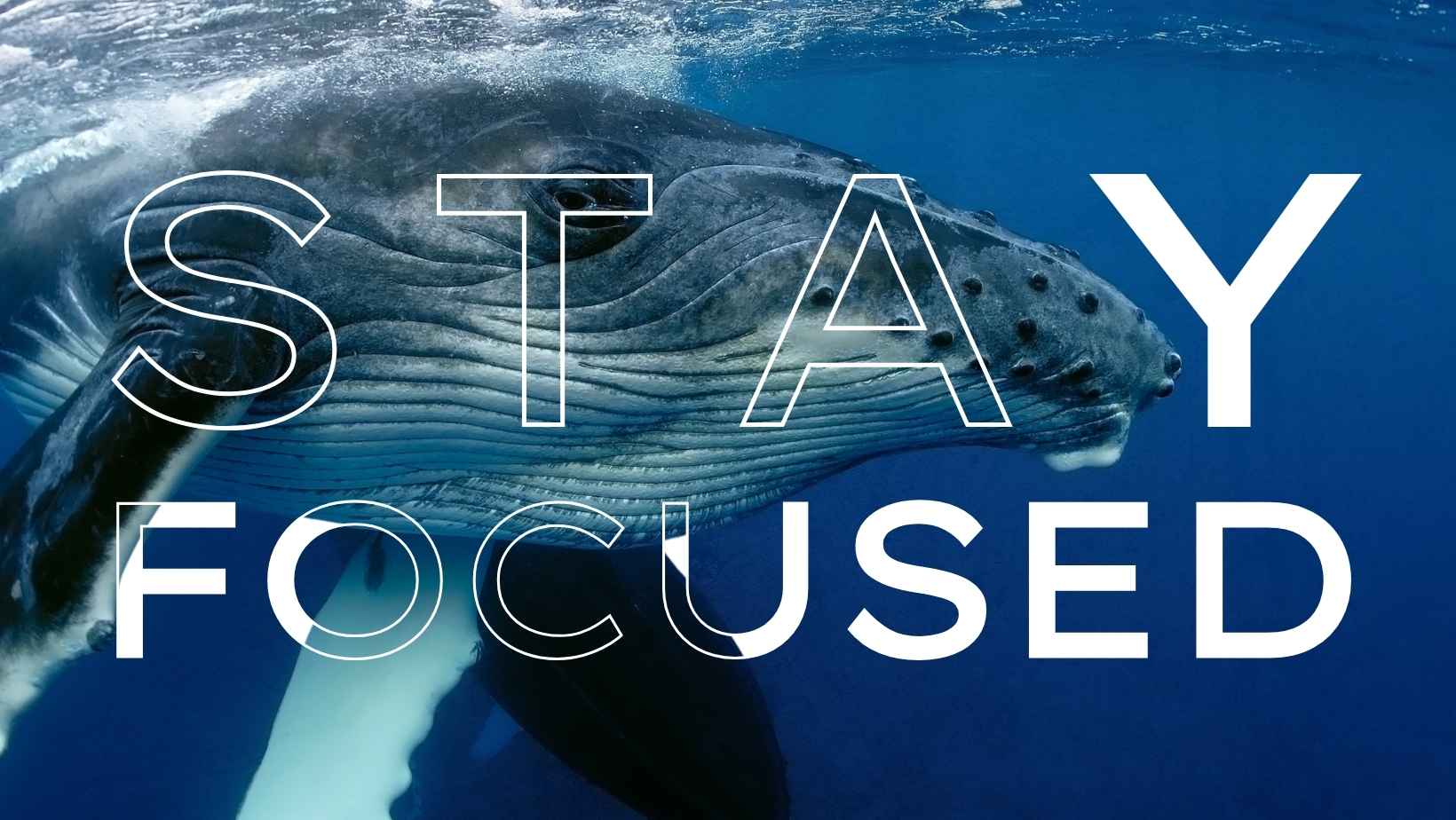 How Successful Entrepreneurs Stay Focused: Essential Tips for Achieving Your Goals